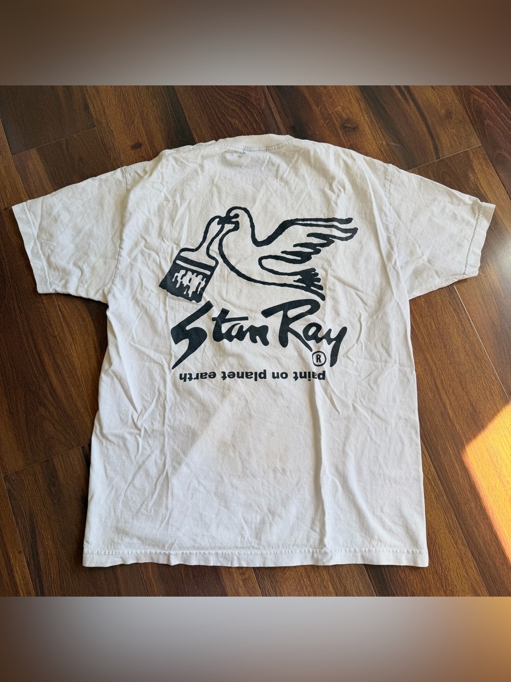 Stan Ray Paint on Planet Earth Dove Short Sleeve Distressed T-Shirt Mens L